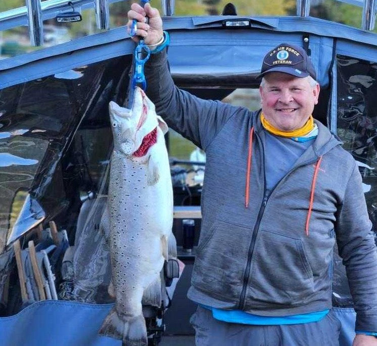 AC Plug Swimbait Company